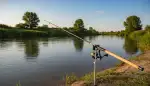 Feedern im Fluss: Meistere die Strömung