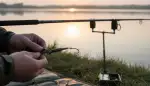 Karpfenmontage: Erfolg und Fischwohl