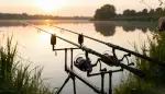 Karpfenrute Gewässer: Perfekt abgestimmt